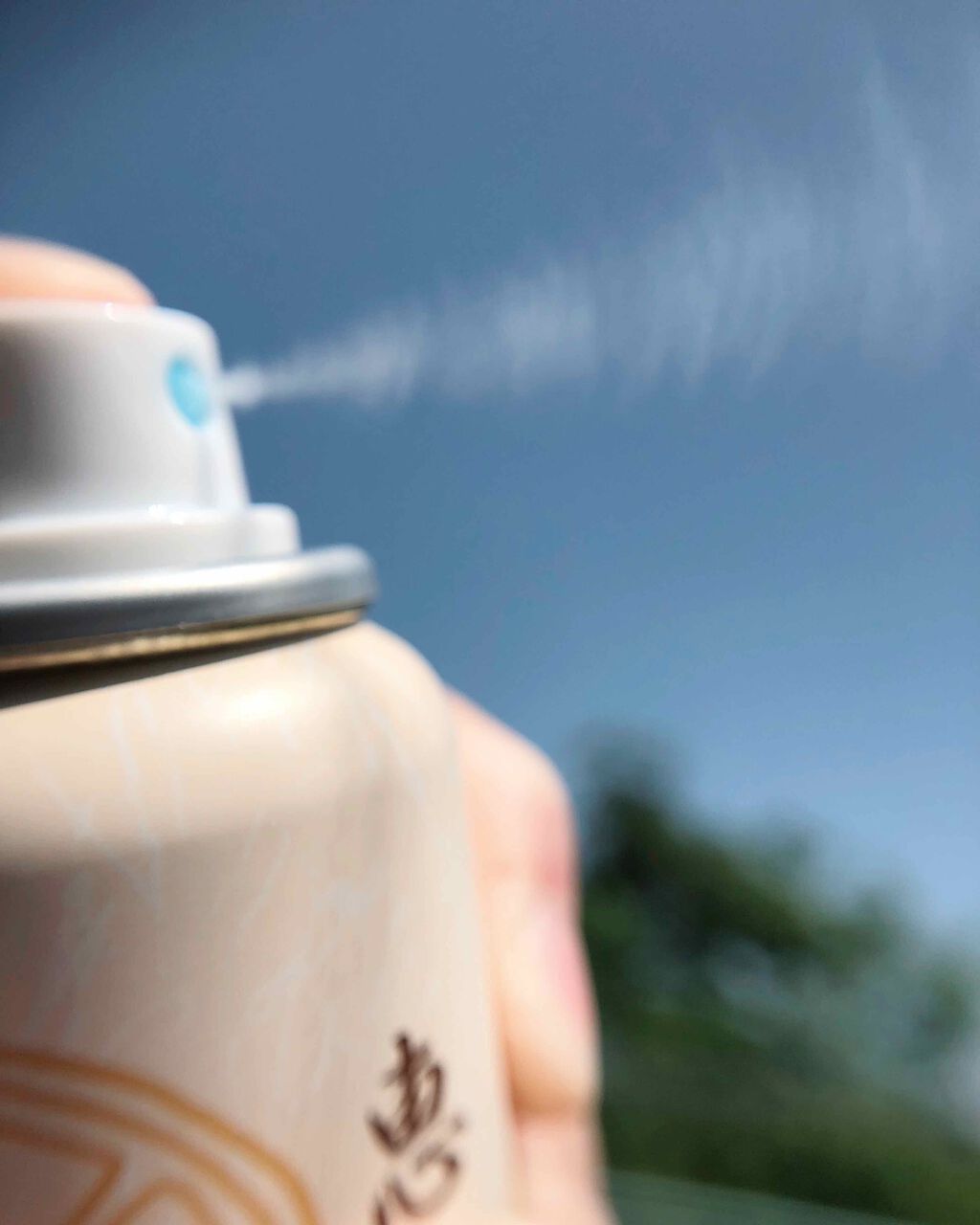 プロテクト UVスプレー/恵の本舗/日焼け止めミスト・スプレーを使ったクチコミ(3枚目)