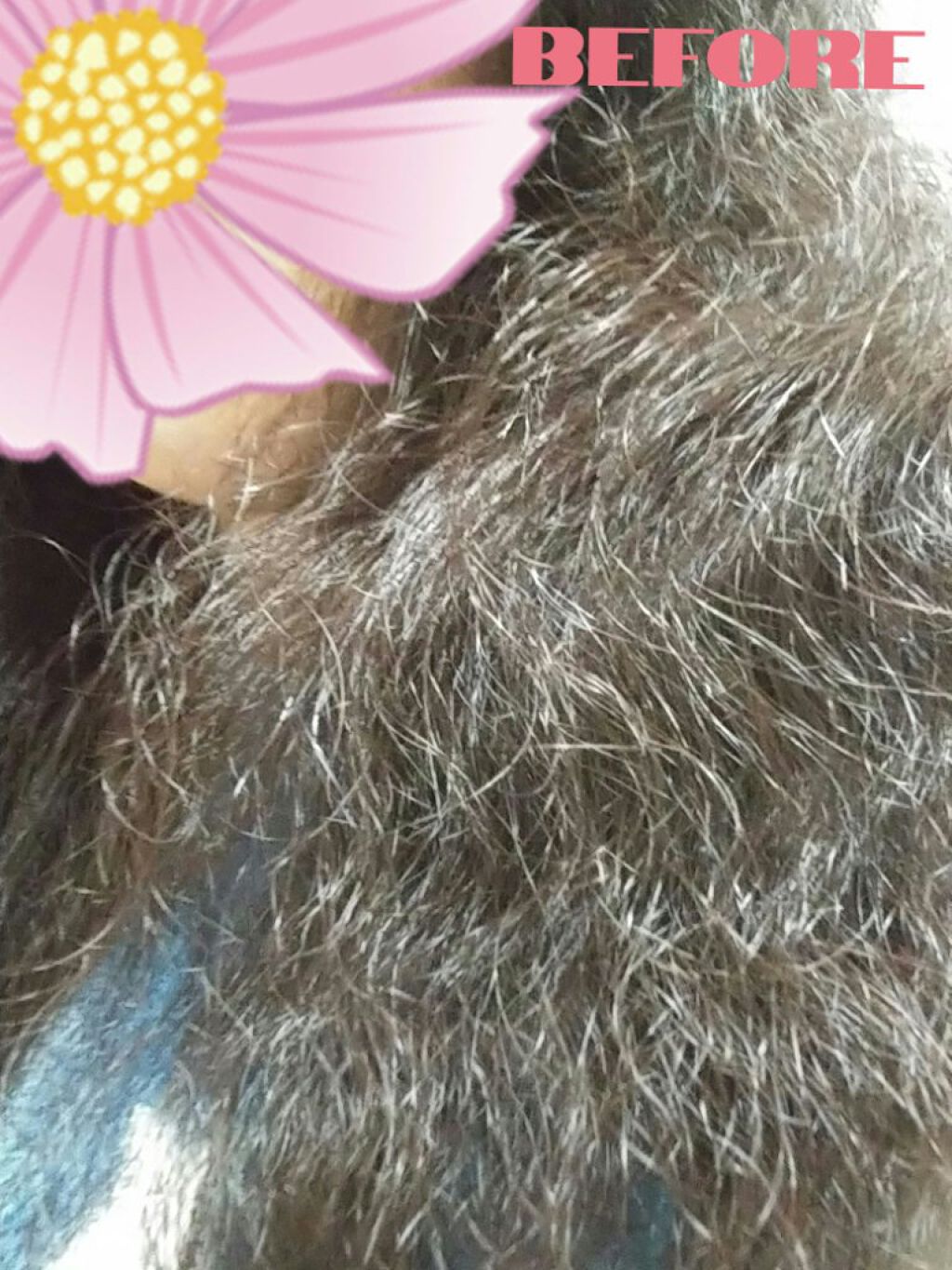 ストレートヘアアイロン/SALONIA/ストレートアイロンを使ったクチコミ(2枚目)