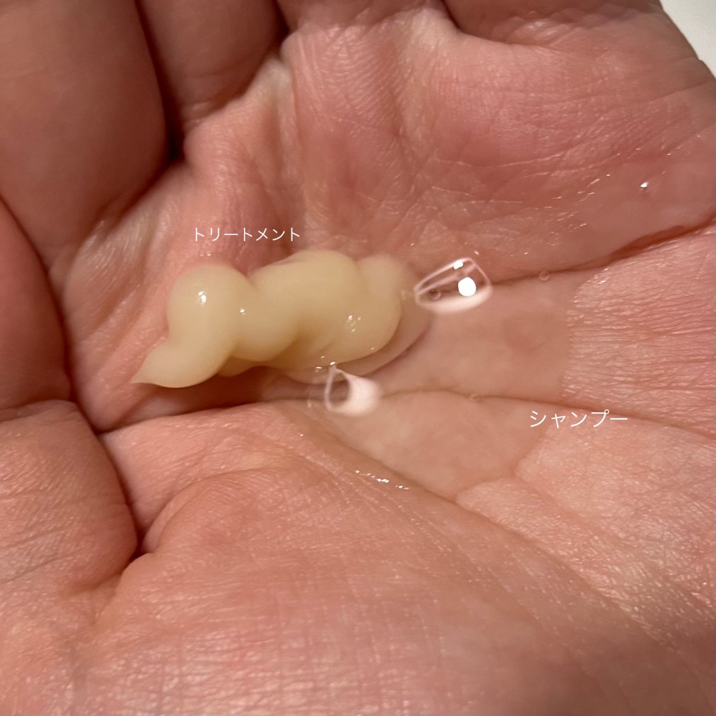 THE PREMIUM エクストラダメージケアシャンプー/トリートメント(シャイニーモイスト)/いち髪/市販シャンプーを使ったクチコミ(2枚目)