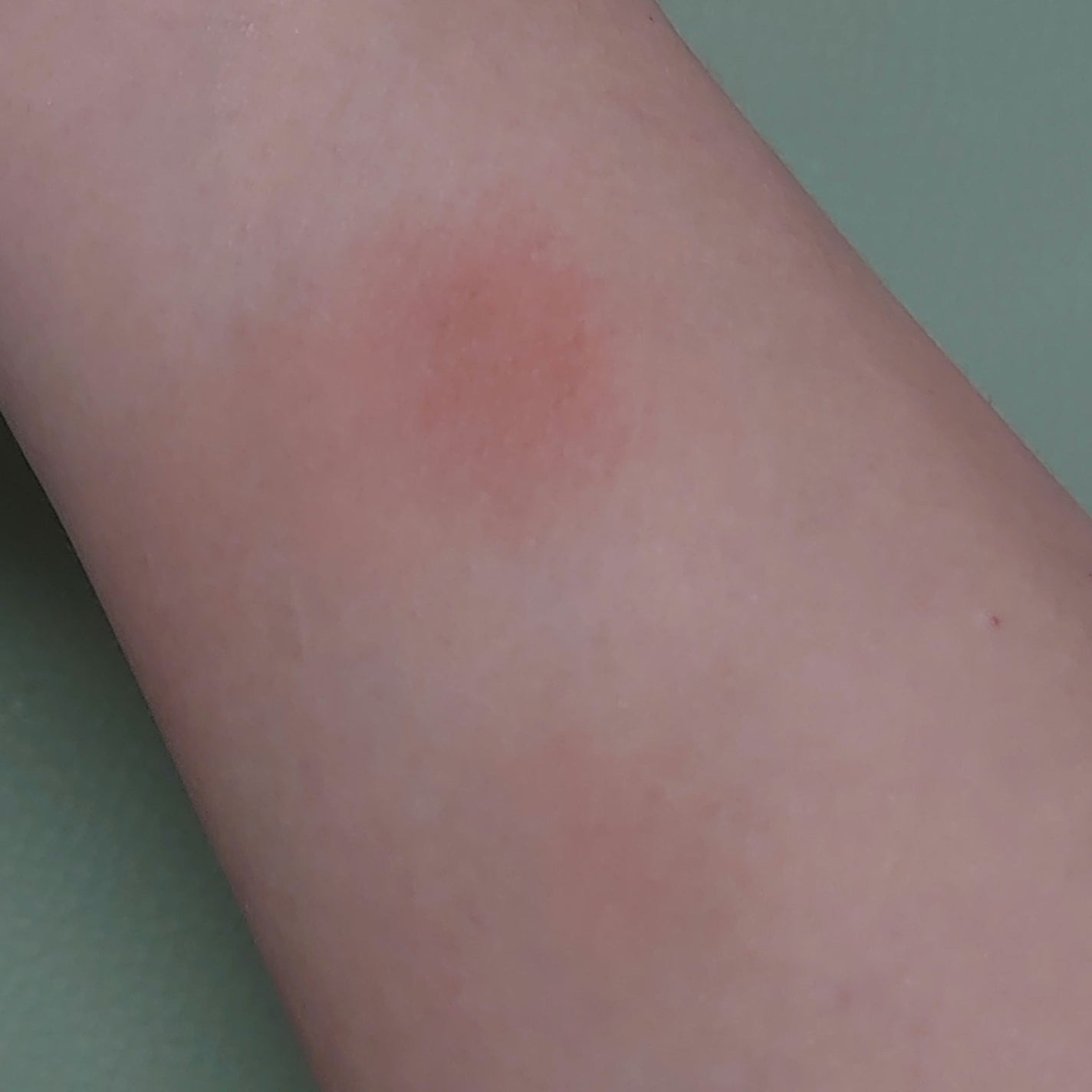 ナチュラル チークN/CEZANNE/パウダーチークを使ったクチコミ(2枚目)