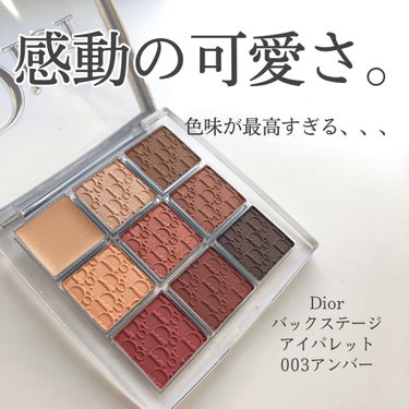 ディオール バックステージ アイ パレット/Dior/アイシャドウパレットを使ったクチコミ（1枚目）