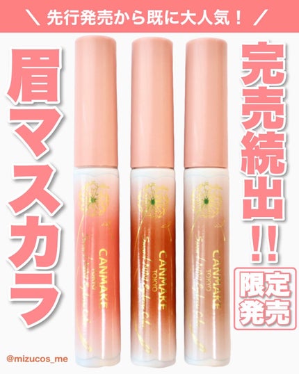 スマートミニアイブロウカラー/キャンメイク/眉マスカラを使ったクチコミ(1枚目)