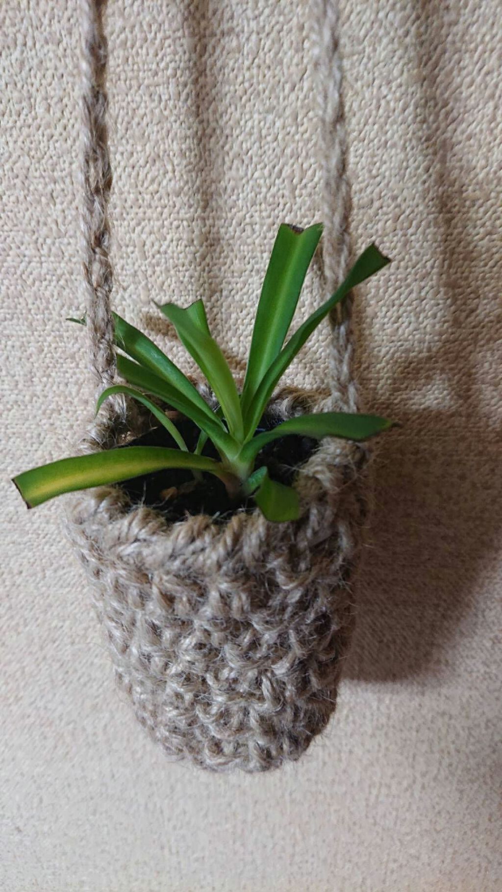 にゃーにゃ一団 on LIPS 「こんばんは😃🌃今日は東京、暑かったです(・・;)休みだったけど..」(2枚目)