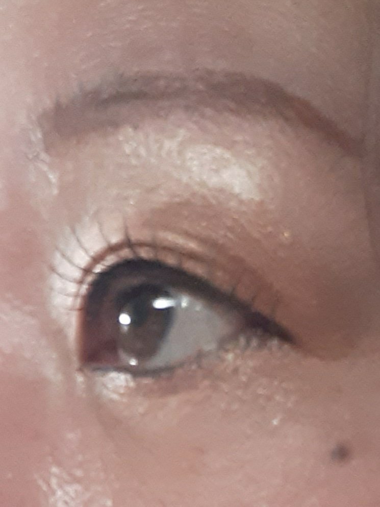 スリーサムデザイニングアイカラー/& WOLF/アイシャドウパレットを使ったクチコミ（1枚目）