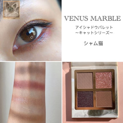 Venus Marble アイシャドウキャットシリーズ/Venus Marble/アイシャドウパレットを使ったクチコミ(6枚目)