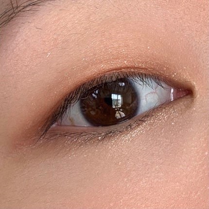 スキニーリッチシャドウ/excel/アイシャドウパレットを使ったクチコミ(6枚目)