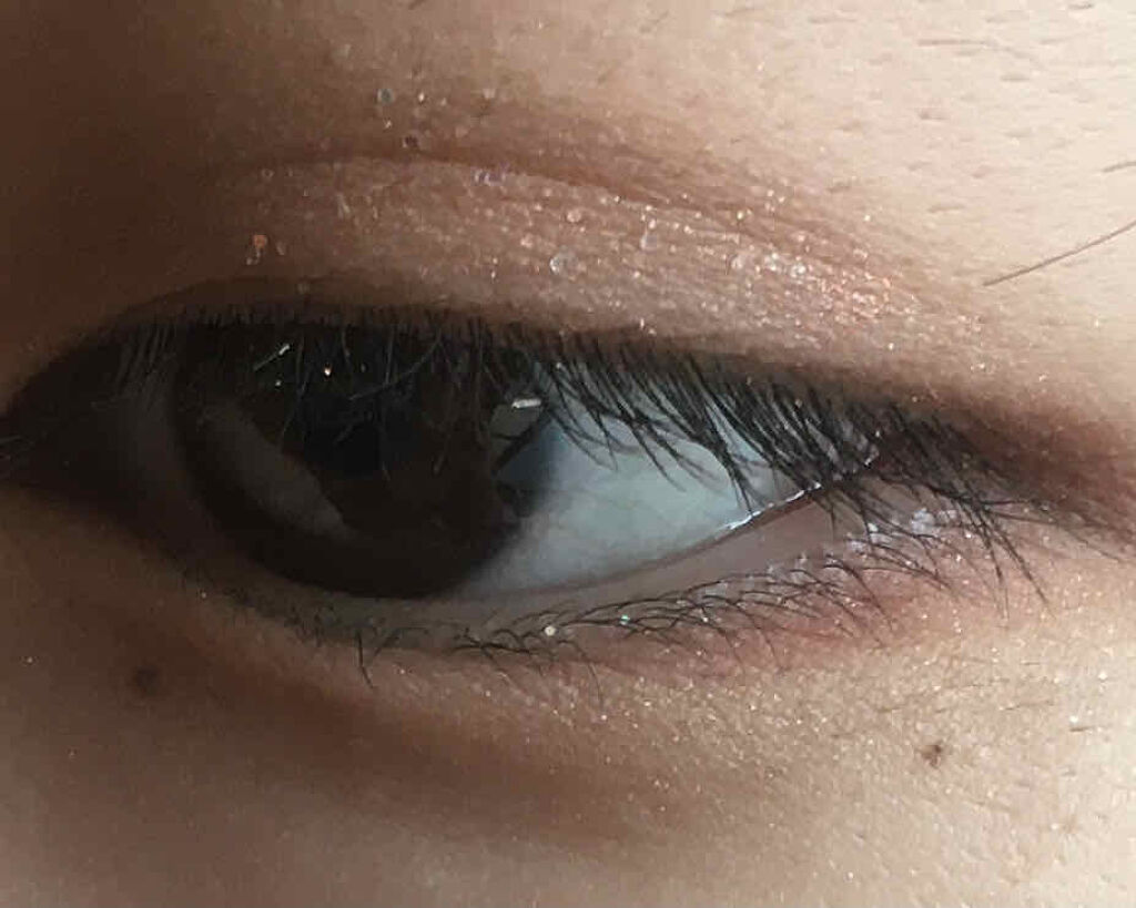 エクスプローラ12色 動物アイシャドウパレット/PERFECT DIARY/アイシャドウパレットを使ったクチコミ（3枚目）