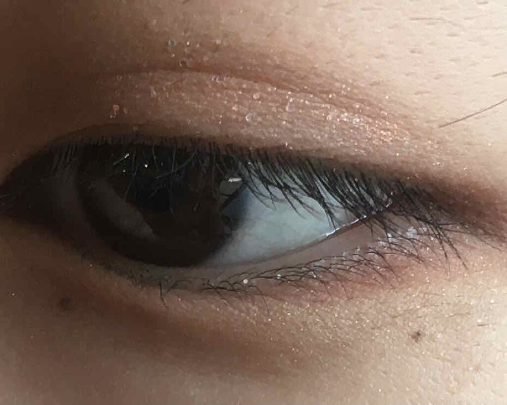 エクスプローラ12色 動物アイシャドウパレット/PERFECT DIARY/アイシャドウパレットを使ったクチコミ(3枚目)