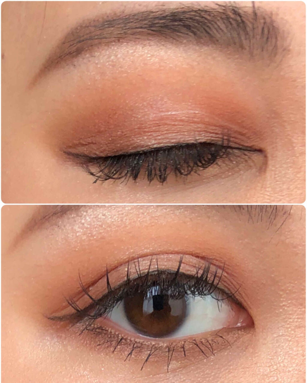 UR GLAM BLOOMING EYE COLOR PALETTE/U R GLAM/アイシャドウパレットを使ったクチコミ(2枚目)