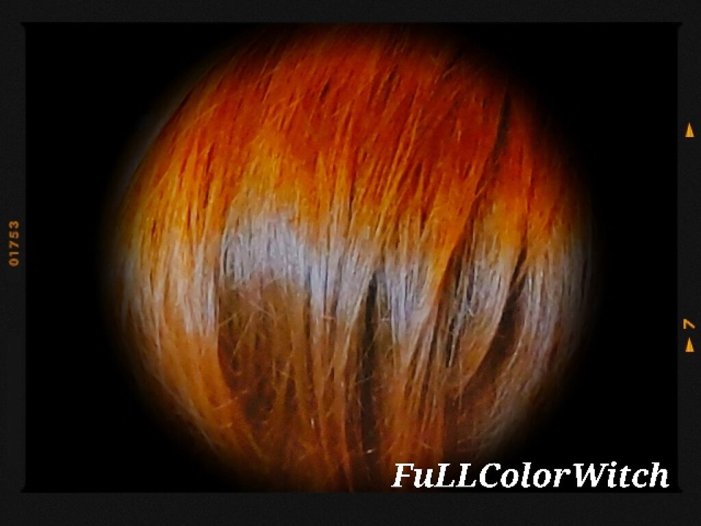 活潤ヘッドクレンズ/米肌/市販シャンプーを使ったクチコミ(3枚目)