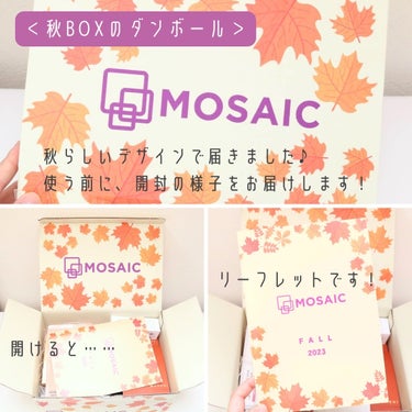 MOSAIC ボックス/MOSAIC/その他キットセットを使ったクチコミ（2枚目）