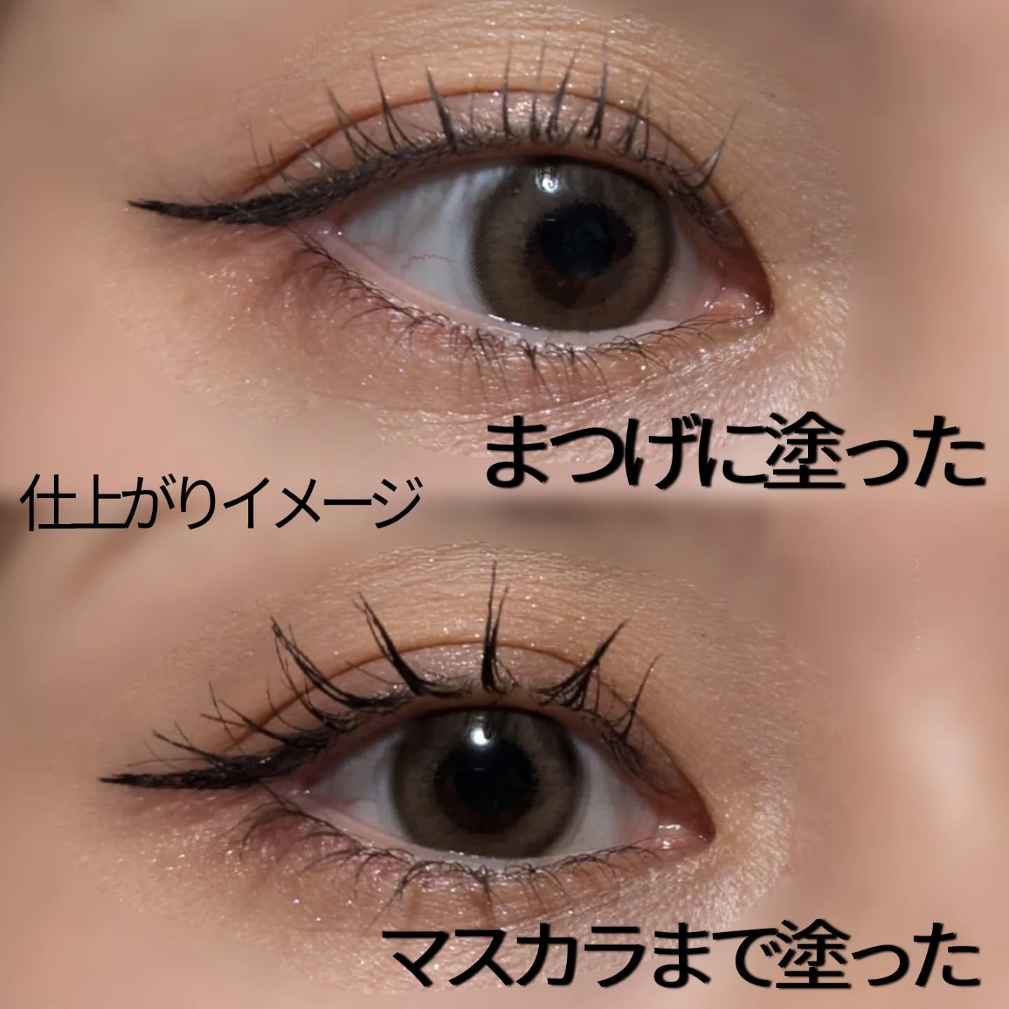 ラッシュアディクト ラッシュ トランスカラ/soaddicted/マスカラ下地を使ったクチコミ（3枚目）