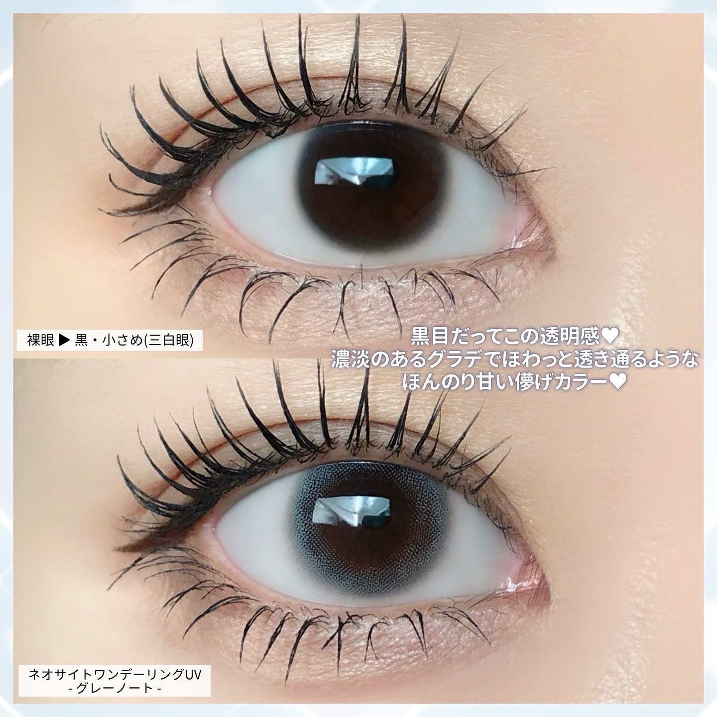 ネオサイトワンデー リングUV/Aire/ワンデー（１DAY）カラコンを使ったクチコミ（3枚目）