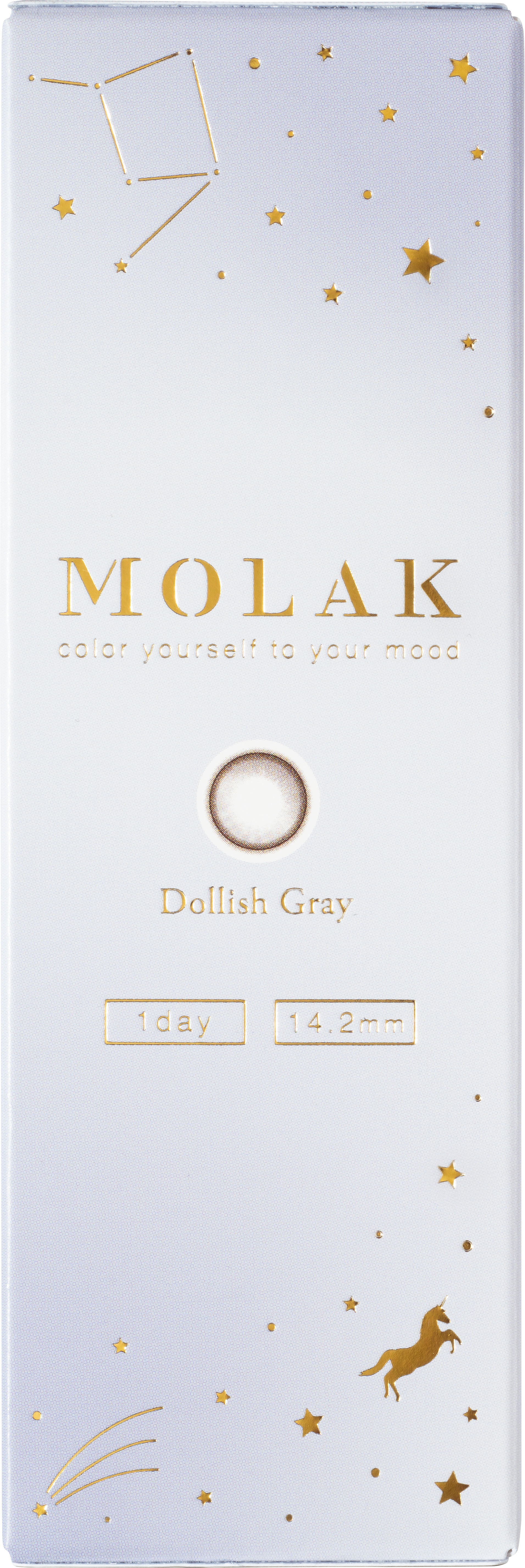 MOLAK 1day ドーリッシュグレー