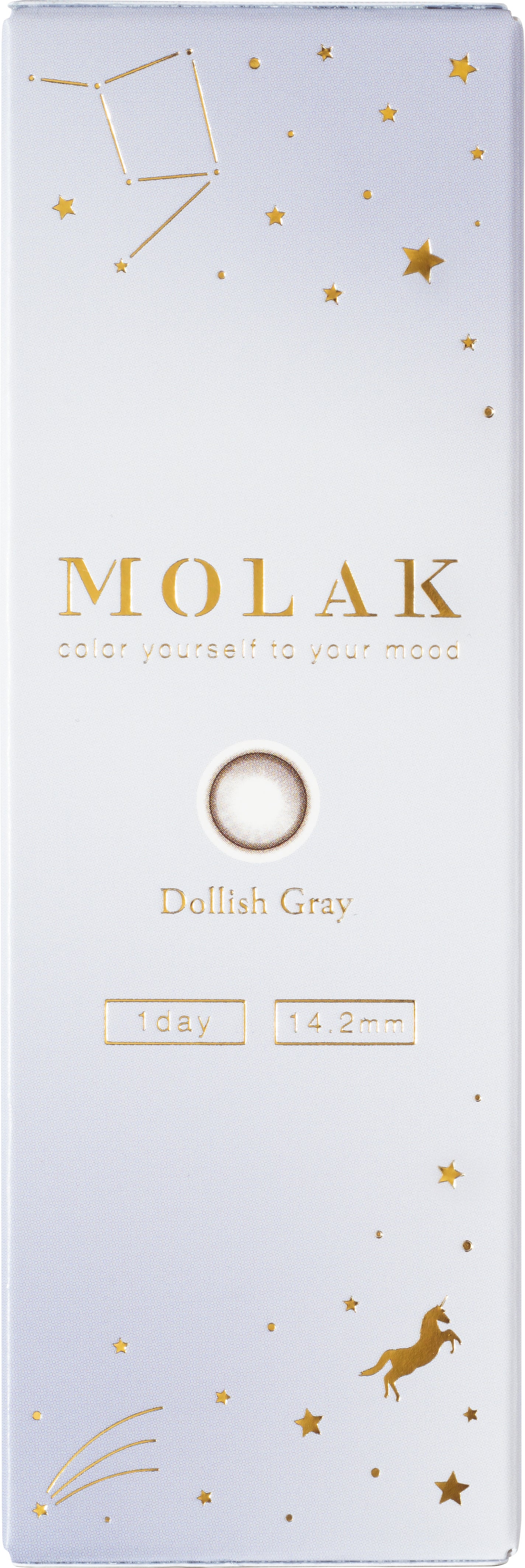 MOLAK 1day ドーリッシュグレー