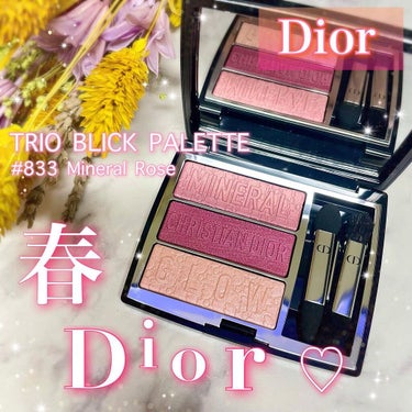 トリオ ブリック パレット/Dior/アイシャドウパレットを使ったクチコミ（1枚目）