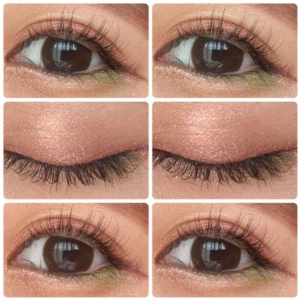 大英博物館 エジプトシリーズ アイシャドウパレット/ZEESEA/アイシャドウパレットを使ったクチコミ(3枚目)