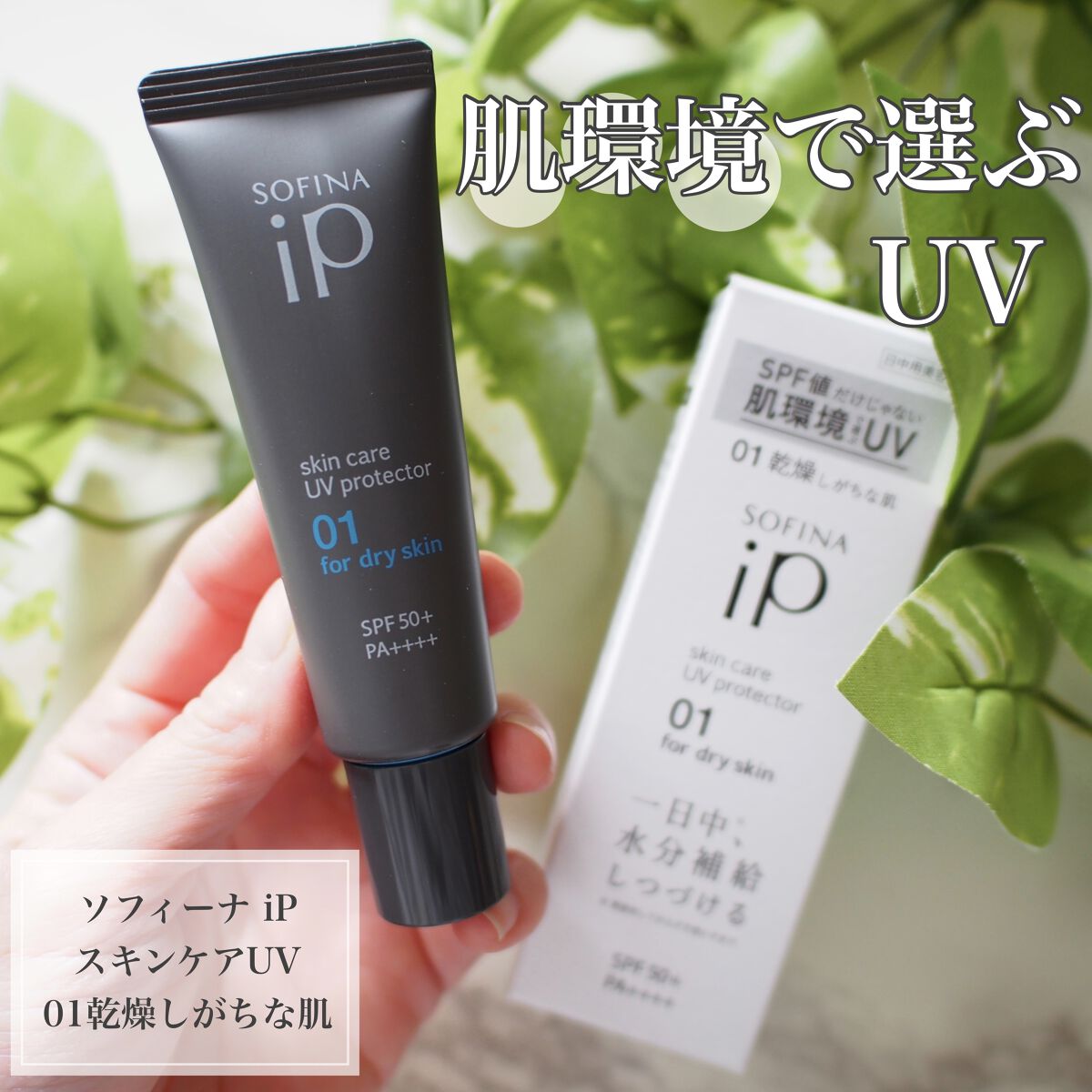ソフィーナ iP スキンケアUV 01乾燥しがちな肌環境 SPF50+ PA++++/SOFINA iP/日焼け止めクリームを使ったクチコミ（1枚目）