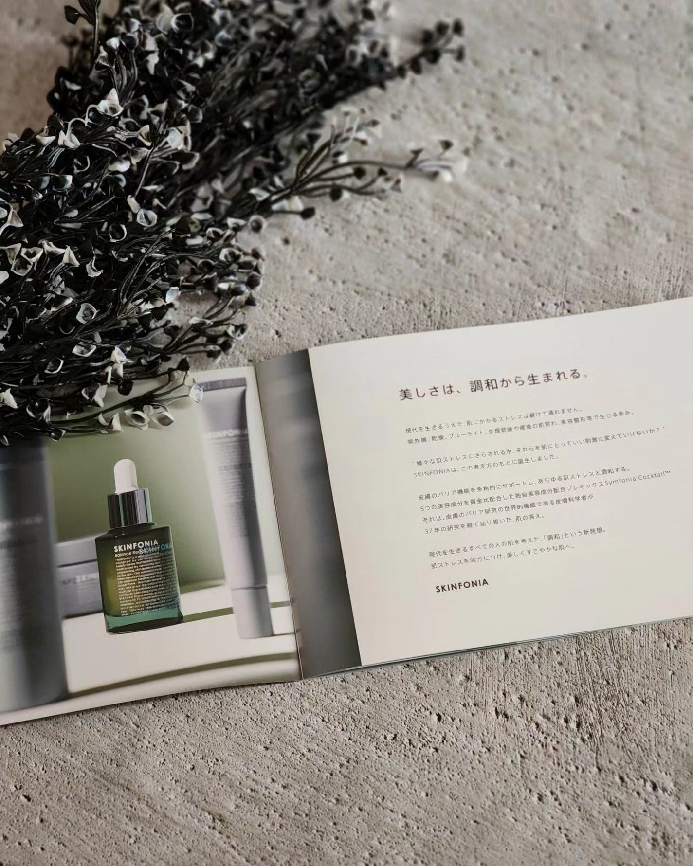 バランス リペアセラム/SKINFONIA/美容液を使ったクチコミ(7枚目)