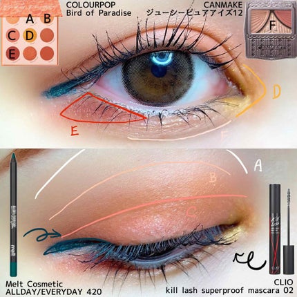 bird of Paradise/ColourPop/アイシャドウパレットを使ったクチコミ(2枚目)