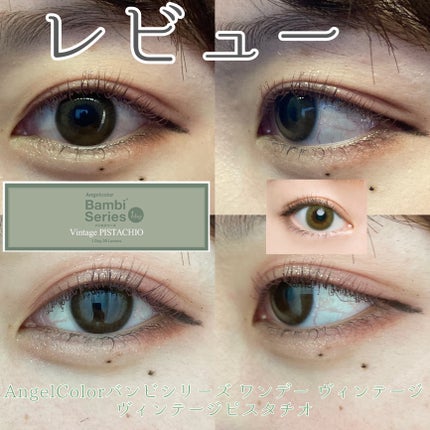 Angelcolor Bambi Series Vintage 1day/AngelColor/ワンデー(1DAY)カラコンを使ったクチコミ(1枚目)