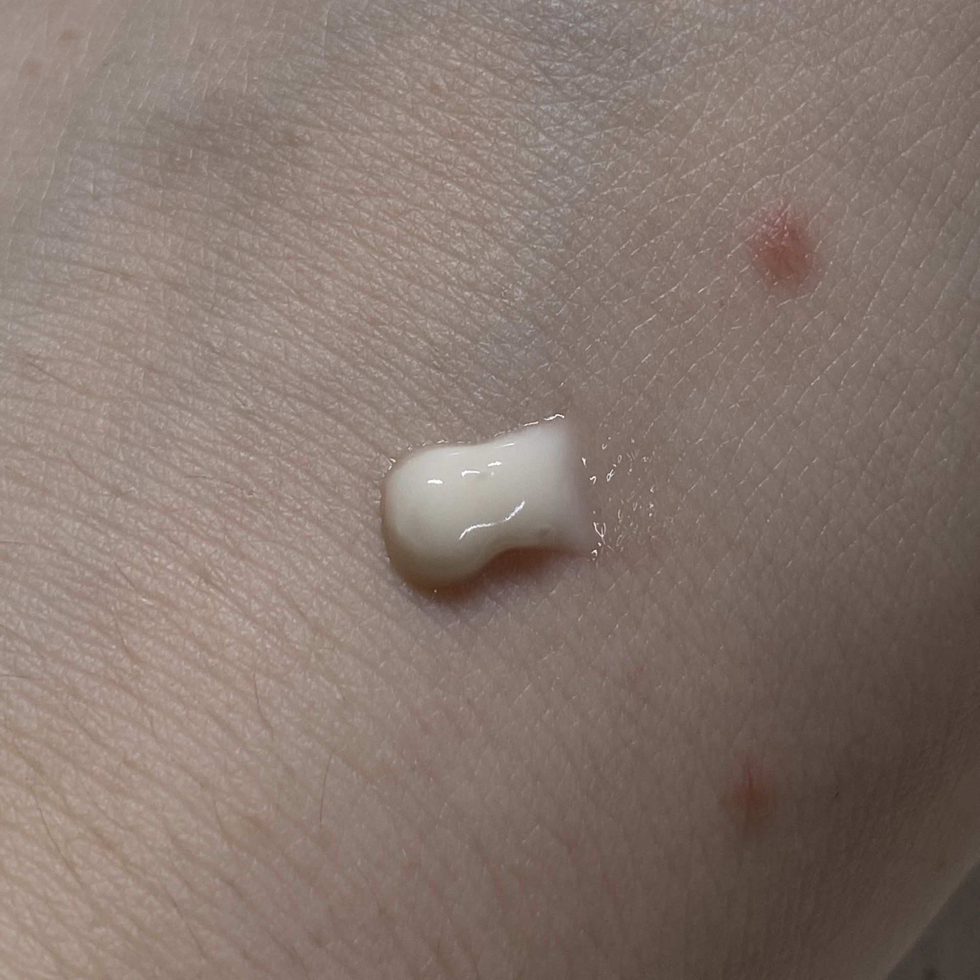 AHC タイム リワインド リアル アイ クリーム フォー フェイスのクチコミ「AHC 
タイム リワインド リアル アイ クリーム フォー フェイス

こちら、こむぎこちゃ.....」（2枚目）