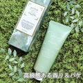パフュームハンドクリーム グリーンフォーレスト抹茶 / TEABLESS