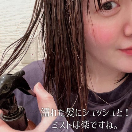 ノーウォッシュセラム トリートメント/Healing bird/ヘアオイルを使ったクチコミ(5枚目)