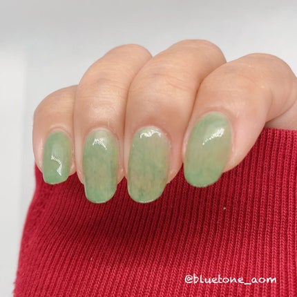 jill leen. 繊維ネイル /jill leen./マニキュアを使ったクチコミ(7枚目)