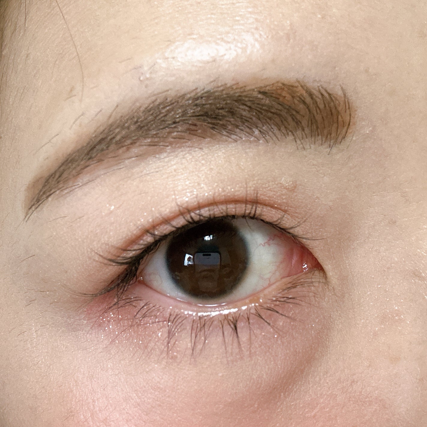 エテュセ アイエディション(カラーパレット)/ettusais/アイシャドウパレットを使ったクチコミ(6枚目)