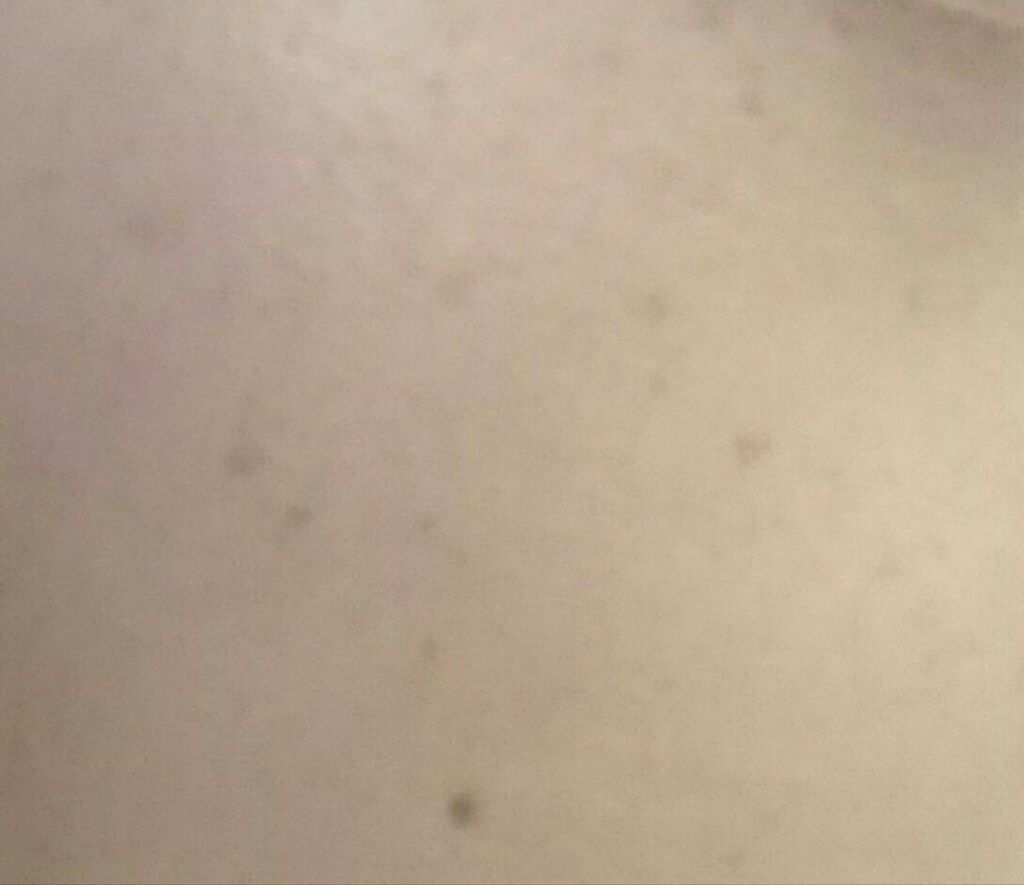 UR GLAM　COVER＆HIGHLIGHT CONCEALER 明るい肌色/U R GLAM/リキッドコンシーラーを使ったクチコミ（3枚目）