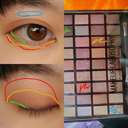 36カラーアイシャドウパレット/ドン・キホーテ/アイシャドウパレットを使ったクチコミ(2枚目)