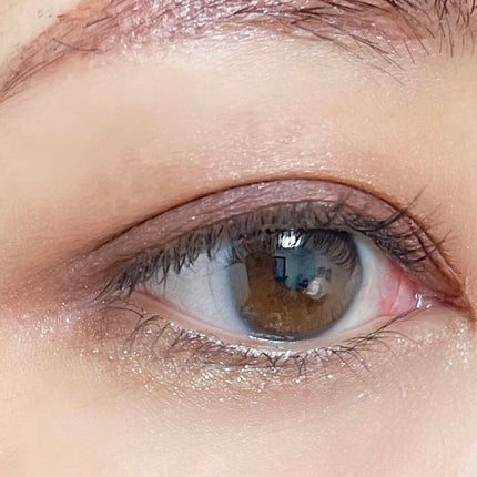 パノラマデザイン アイパレット/Visée/アイシャドウパレットを使ったクチコミ(4枚目)