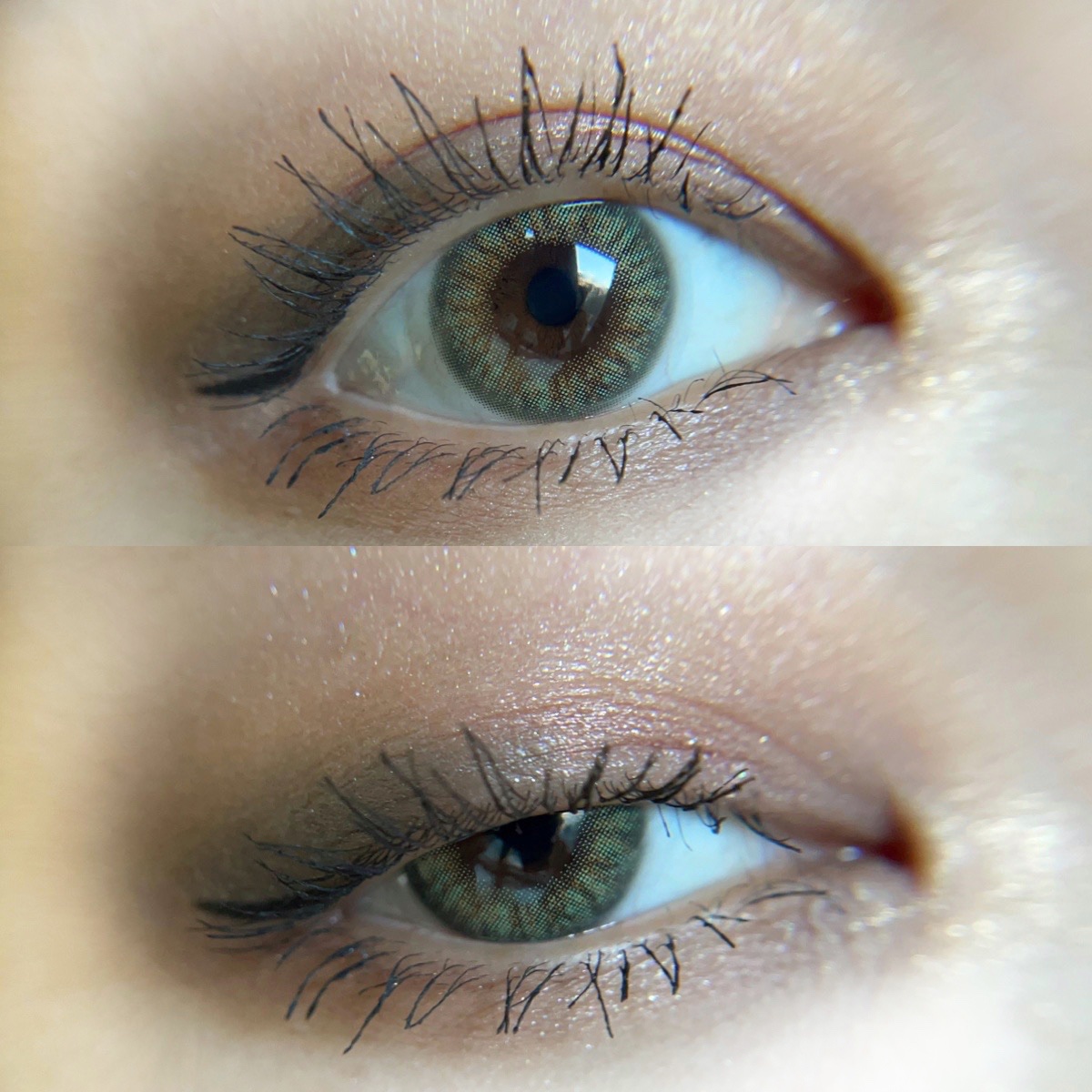 PERSONAL ALL DAY USE PALETTE/purplish/アイシャドウパレットを使ったクチコミ（1枚目）