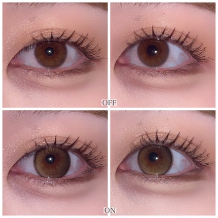 Daisy Shower 1Day/chuu LENS/ワンデー(1DAY)カラコンを使ったクチコミ(2枚目)