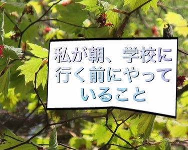 【最低限、学校にしていっていること】

こんばんは、夜です。

学校ってメイクはダメですが、最低限の身だしなみとして、私が学校にしていっていることを紹介します。


・顔面編

日焼け止め＋ベビーパウダ