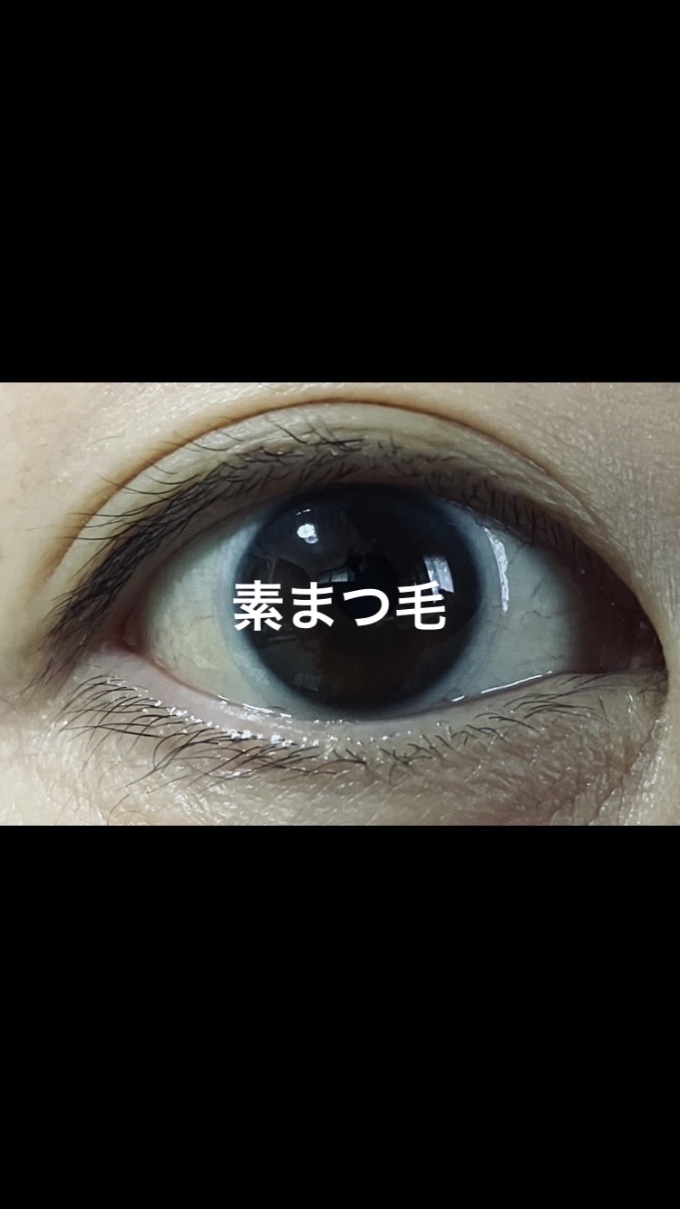 エテュセ アイエディション（マスカラベース）LE/ettusais/マスカラ下地を使ったクチコミ（1枚目）