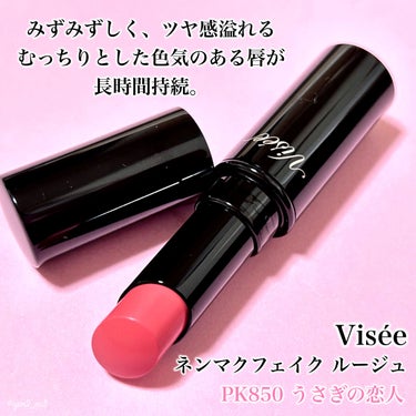 ネンマクフェイク ルージュ/Visée/口紅を使ったクチコミ（2枚目）