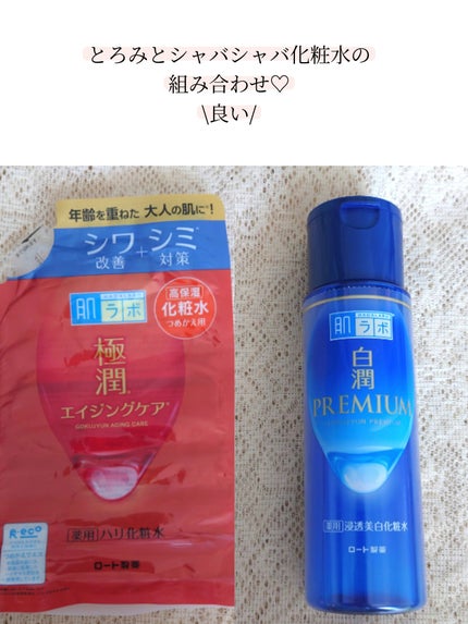 白潤プレミアム薬用浸透美白化粧水/肌ラボ/化粧水を使ったクチコミ(1枚目)