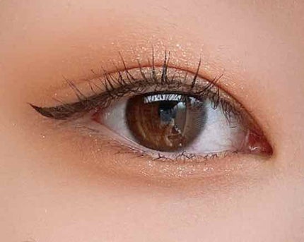 シャドウパレット/dasique/アイシャドウパレットを使ったクチコミ(4枚目)