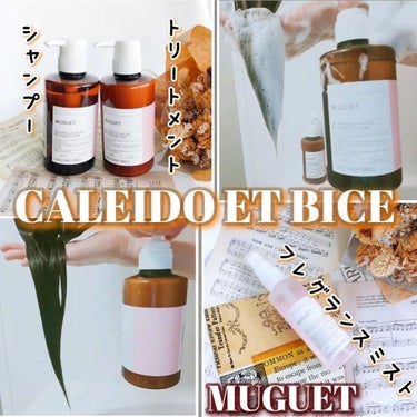 アテンゾパルファムフレグランスミスト/CALEIDO ET BICE/香水(レディース)を使ったクチコミ（1枚目）