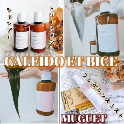 アテンゾ パルファム シャンプー/トリートメント しっとり(ミュゲ)/CALEIDO ET BICE/市販シャンプーを使ったクチコミ(1枚目)
