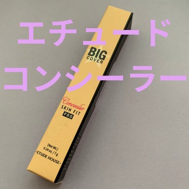 ビッグカバーフィットコンシーラー/ETUDE/リキッドコンシーラーを使ったクチコミ（1枚目）