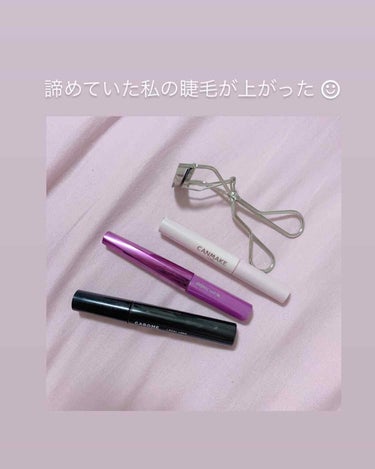 アイラッシュカーラー 213/SHISEIDO/ビューラーを使ったクチコミ（2枚目）