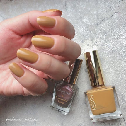 カラフルネイルズ/キャンメイク/マニキュアを使ったクチコミ(2枚目)