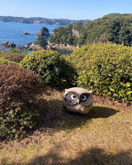 ぼぶ on LIPS 「毎日飲んでいます!!脚のサプリメント【ロコモア】使い始めて、大..」(4枚目)