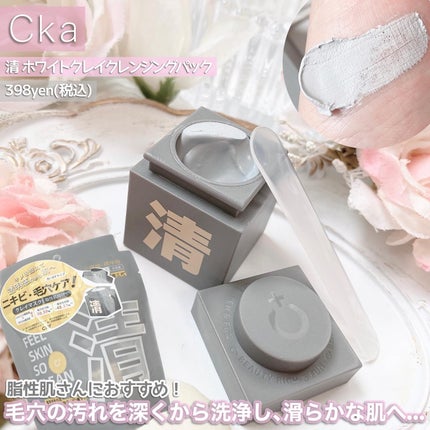 クレイパック 清 ダークグレー(さっぱり)/C+/洗い流すパック・マスクを使ったクチコミ(6枚目)