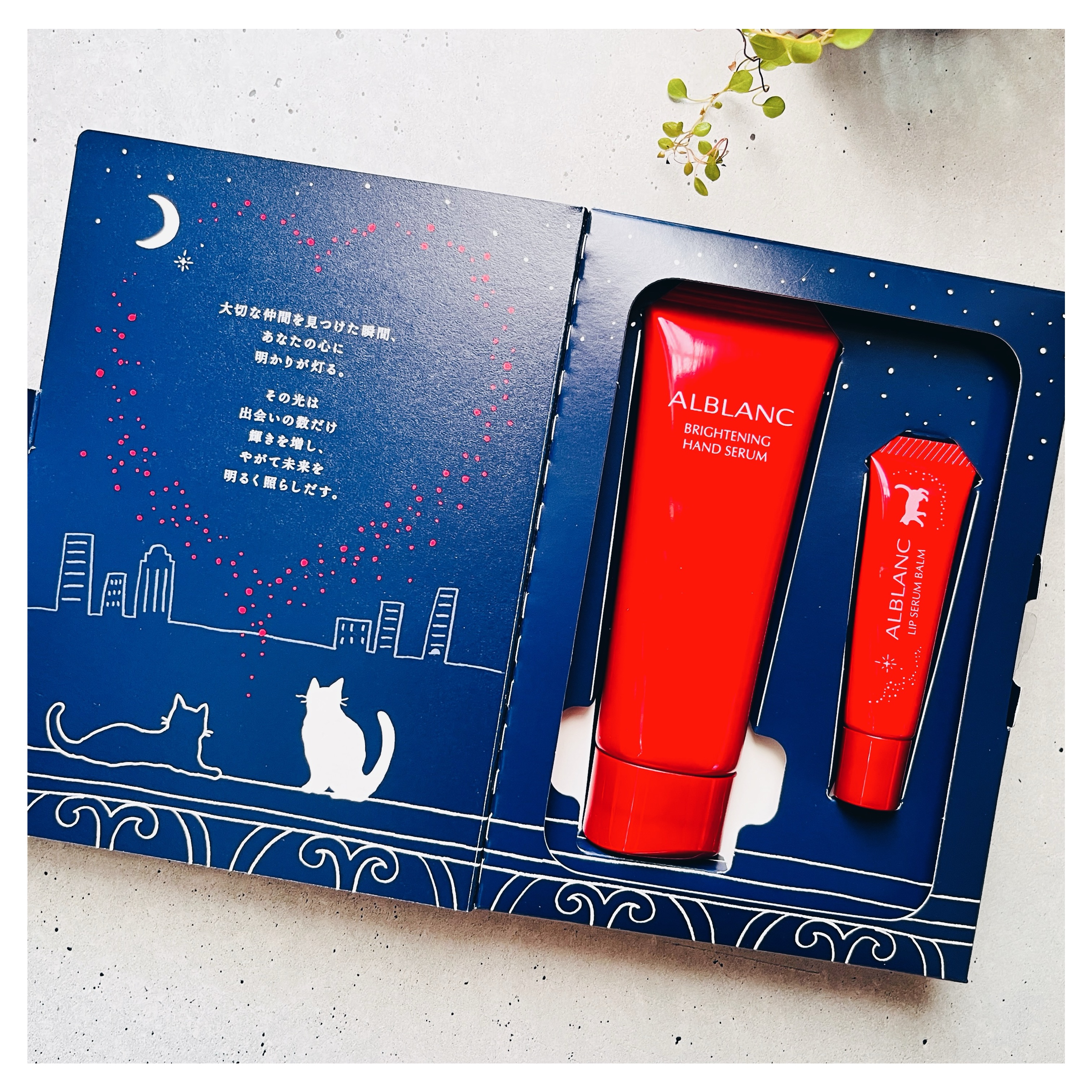 ハンド&リップ セラム セット/ALBLANC/その他キットセットを使ったクチコミ（2枚目）