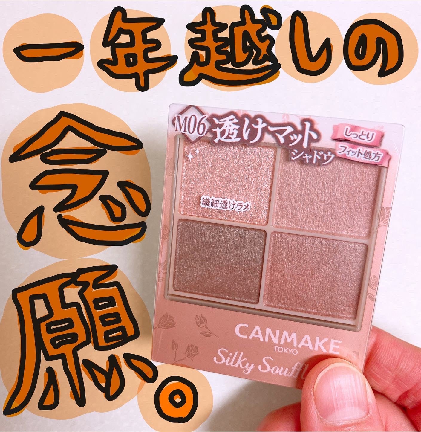 シルキースフレアイズ(マットタイプ)/キャンメイク/アイシャドウパレットを使ったクチコミ(1枚目)