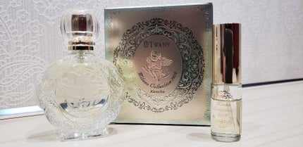 ミラノコレクション2019(カネボウ)/ミラノコレクション/プレストパウダーを使ったクチコミ(2枚目)